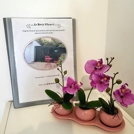Maison Studio Le Bois Fleuri Croissy-Beaubourg Zewnętrze zdjęcie